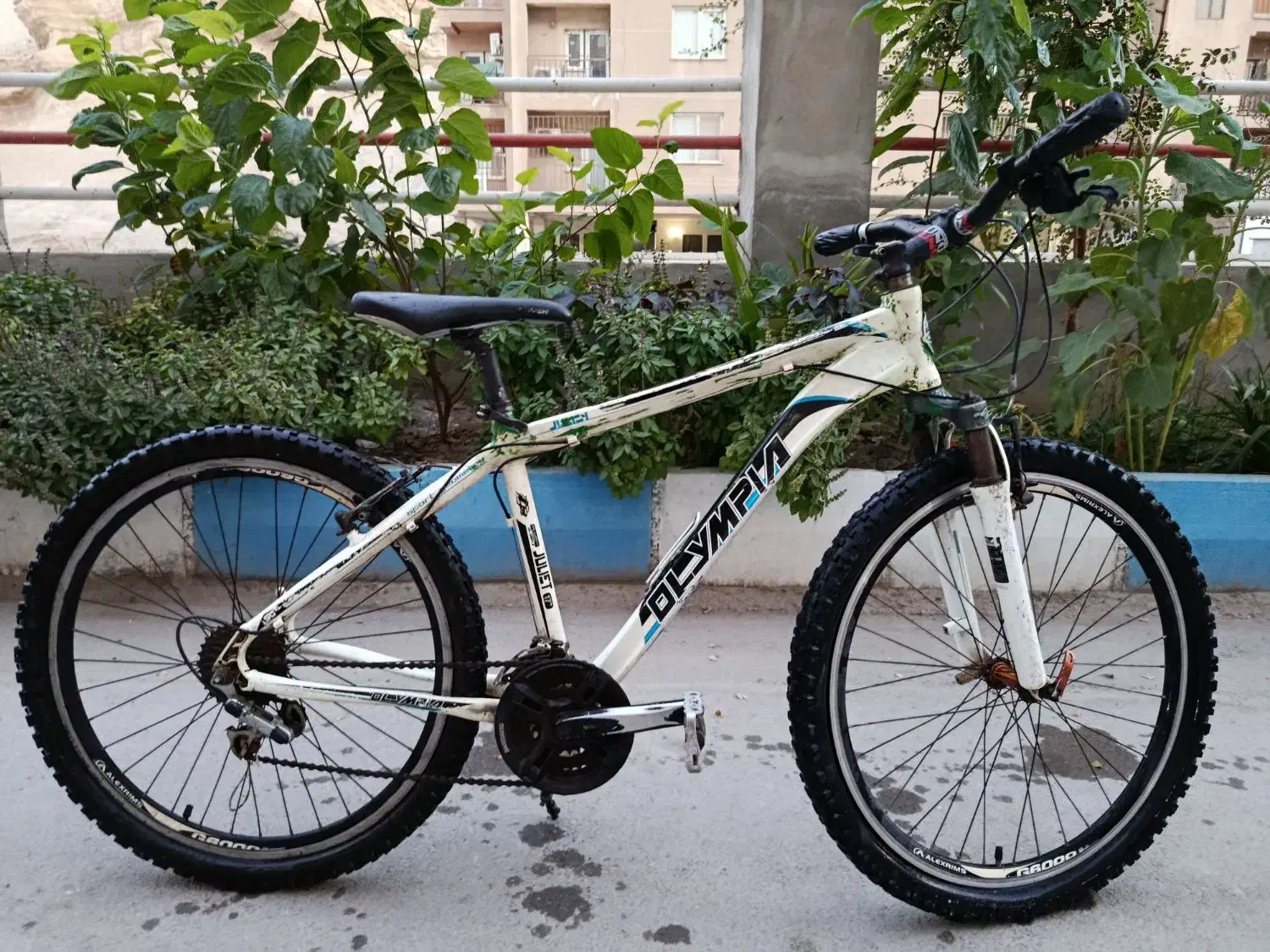 دوچرخه المپیک 26|دوچرخه، اسکیت، اسکوتر|بندرعباس, |دیوار