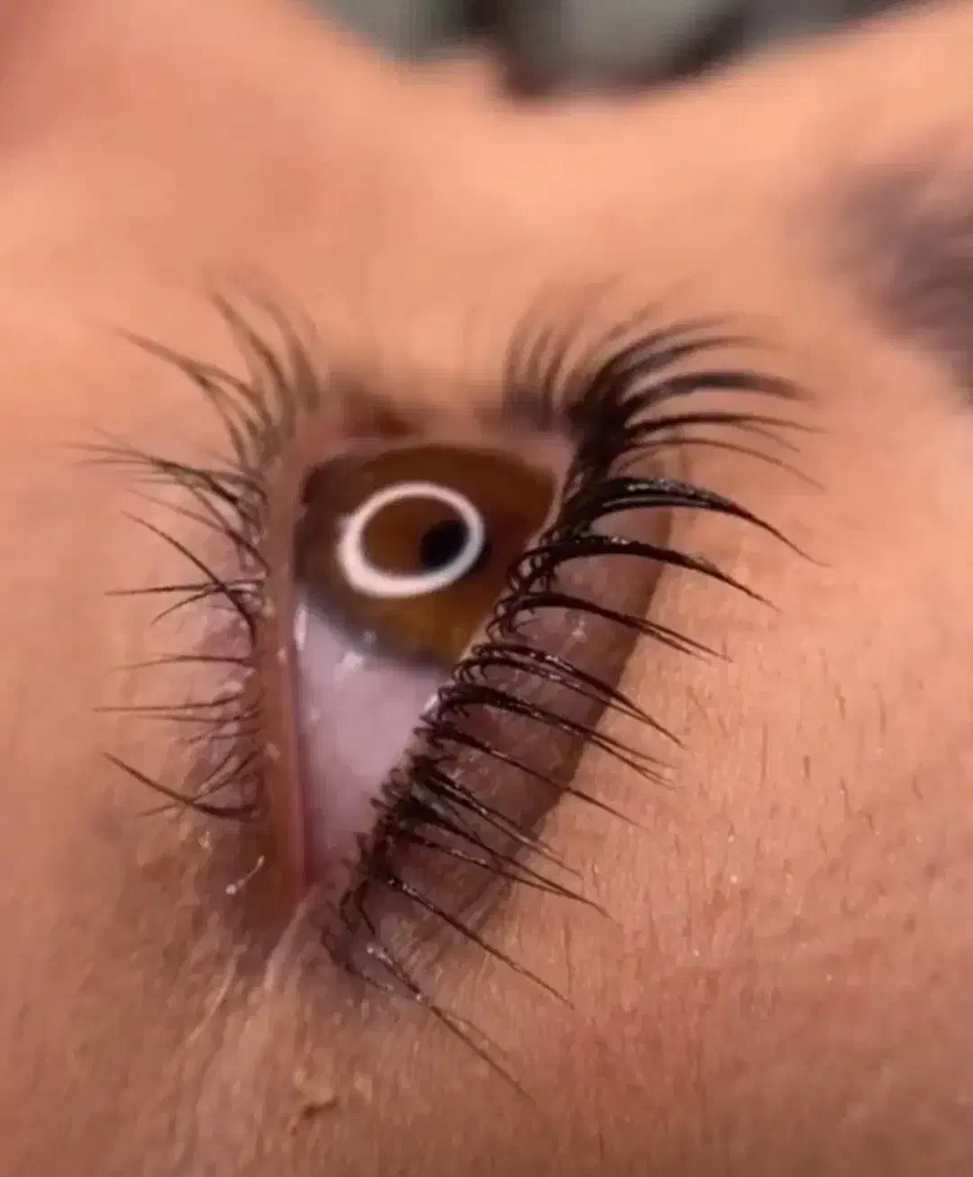 لیفت ولمینت ابرو ومژه|خدمات آرایشگری و زیبایی|صدرا-فارس, فاز ۱|دیوار