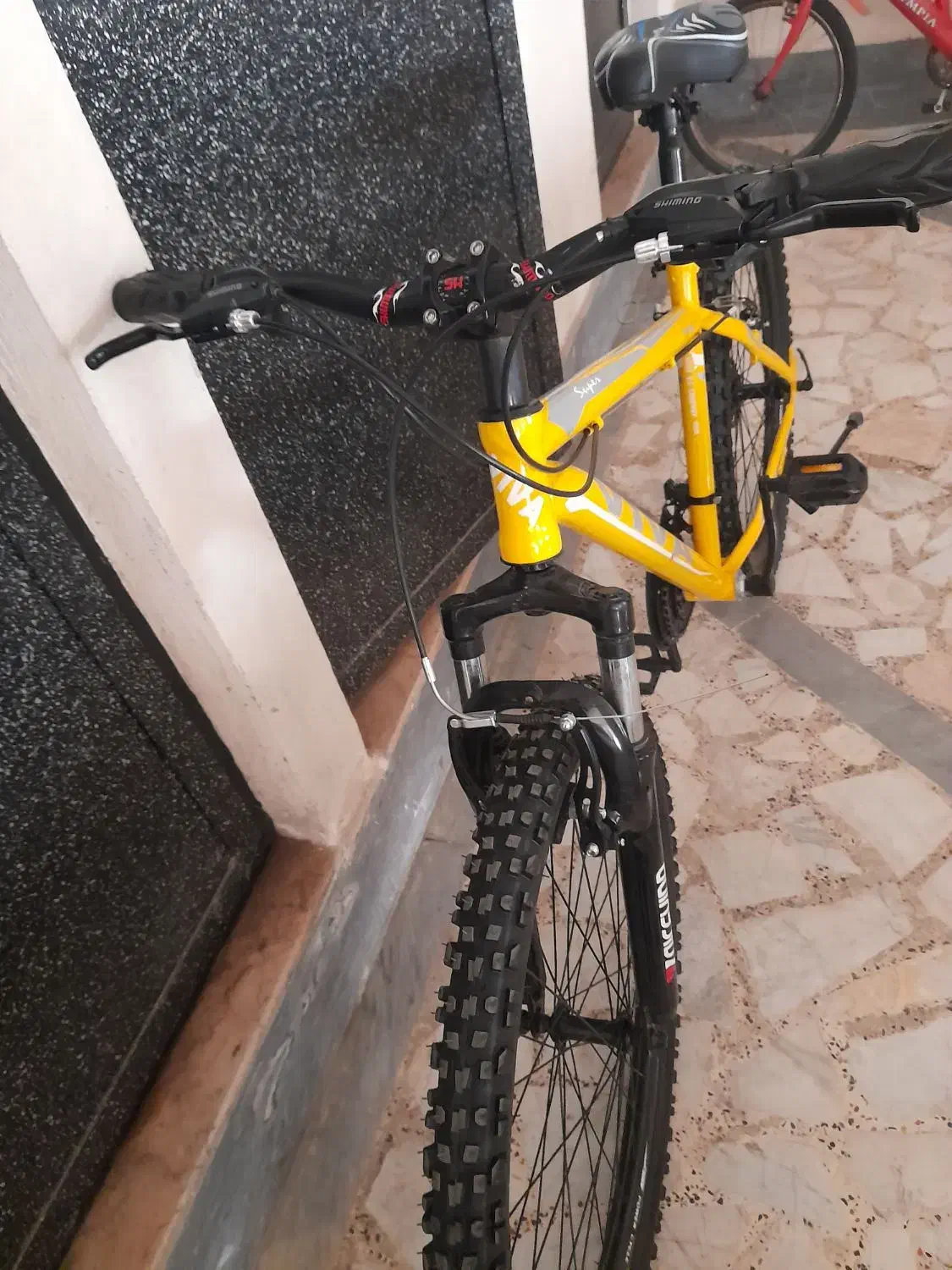 دوچرخه برند ویوا|دوچرخه، اسکیت، اسکوتر|تولم شهر, |دیوار