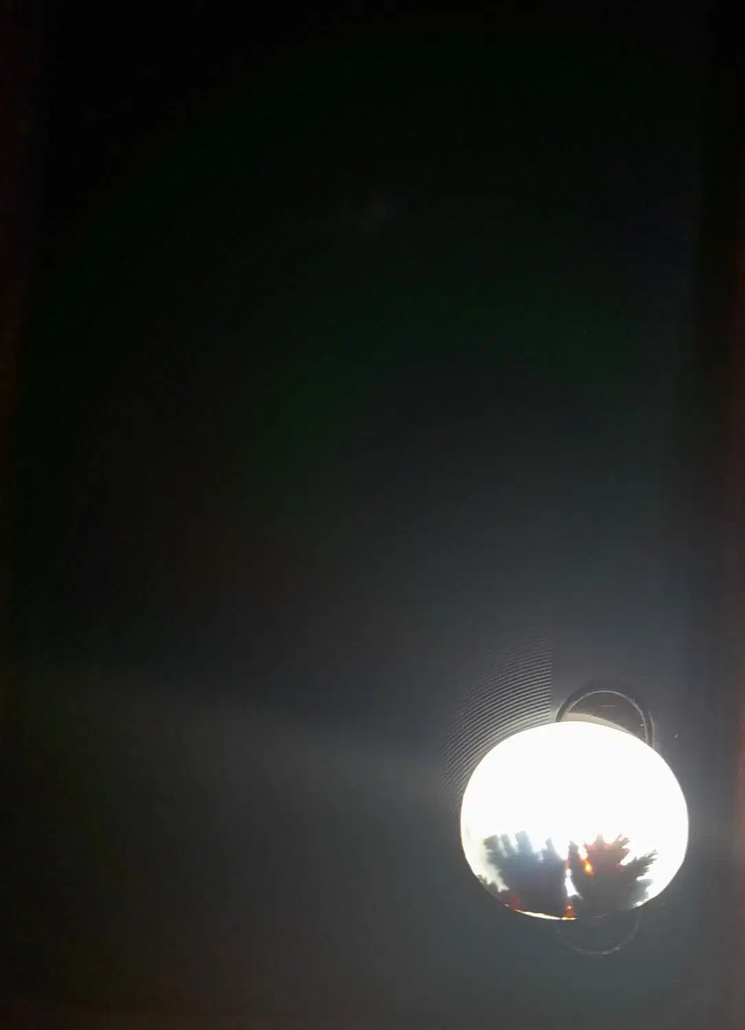 شجر|جواهرات|کرج, پیشاهنگی|دیوار