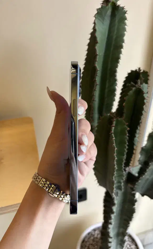 iPhone 13 Promax|موبایل|قم, سالاریه|دیوار