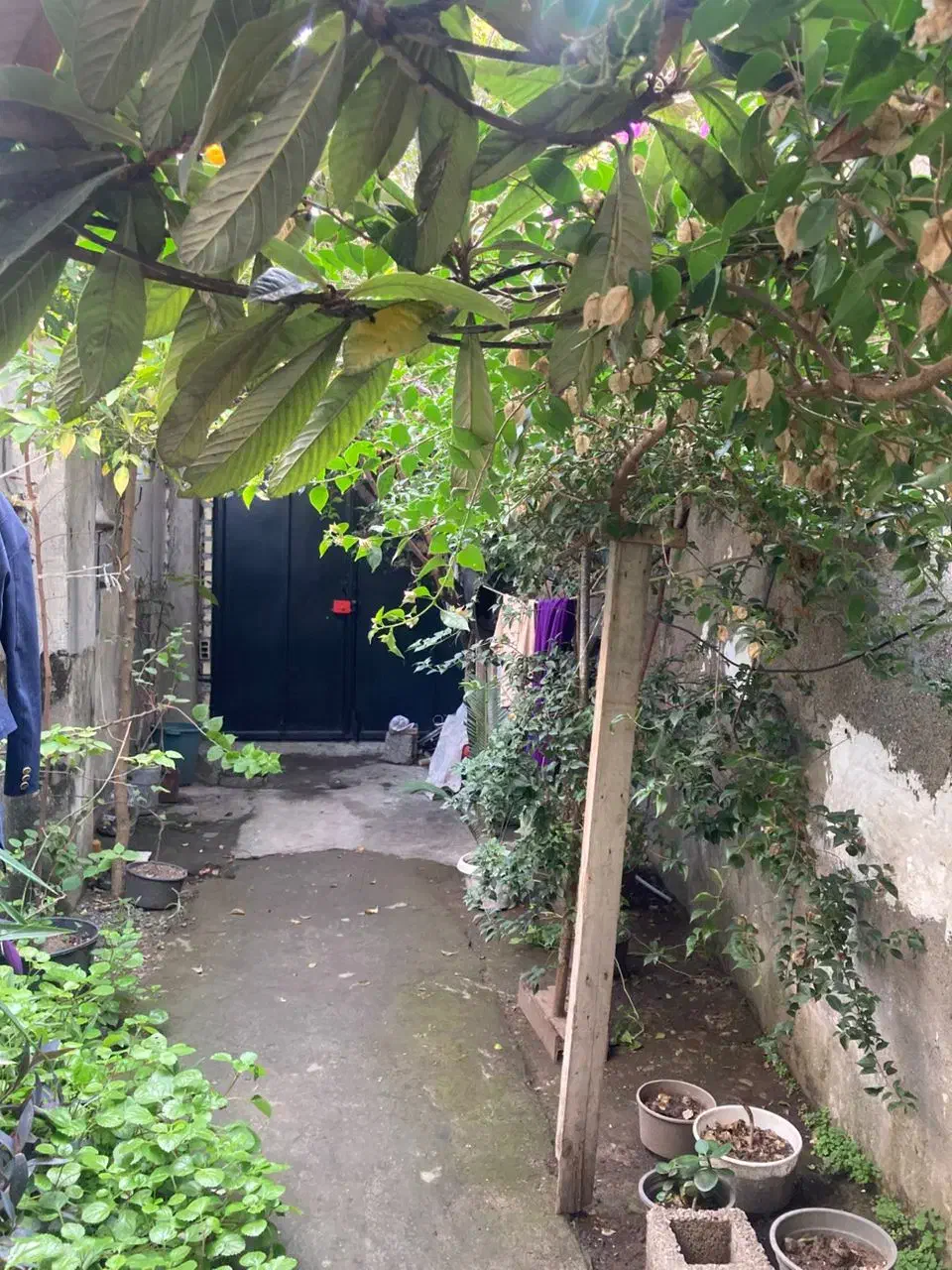 خانه ویلایی ۱۶۴ متری تک برگ سند|فروش خانه و ویلا|رشت, قاسمیه|دیوار