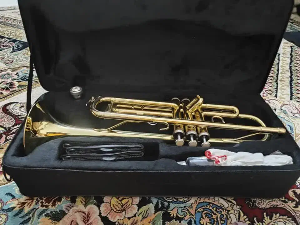 ترنپت|سازهای بادی|اردکان, |دیوار