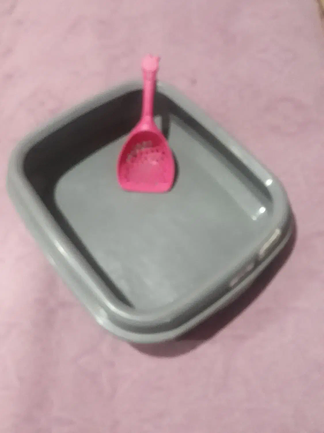 ظرف خاک گربه با بیلچه نو نو|گربه|تهران, سازمان برنامه جنوبی|دیوار