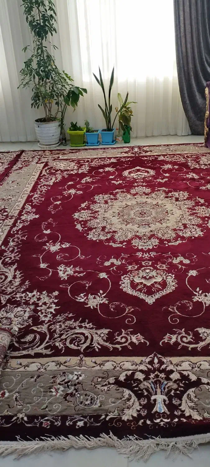 دوتخته فرش 12متری|فرش|زبرخان, |دیوار