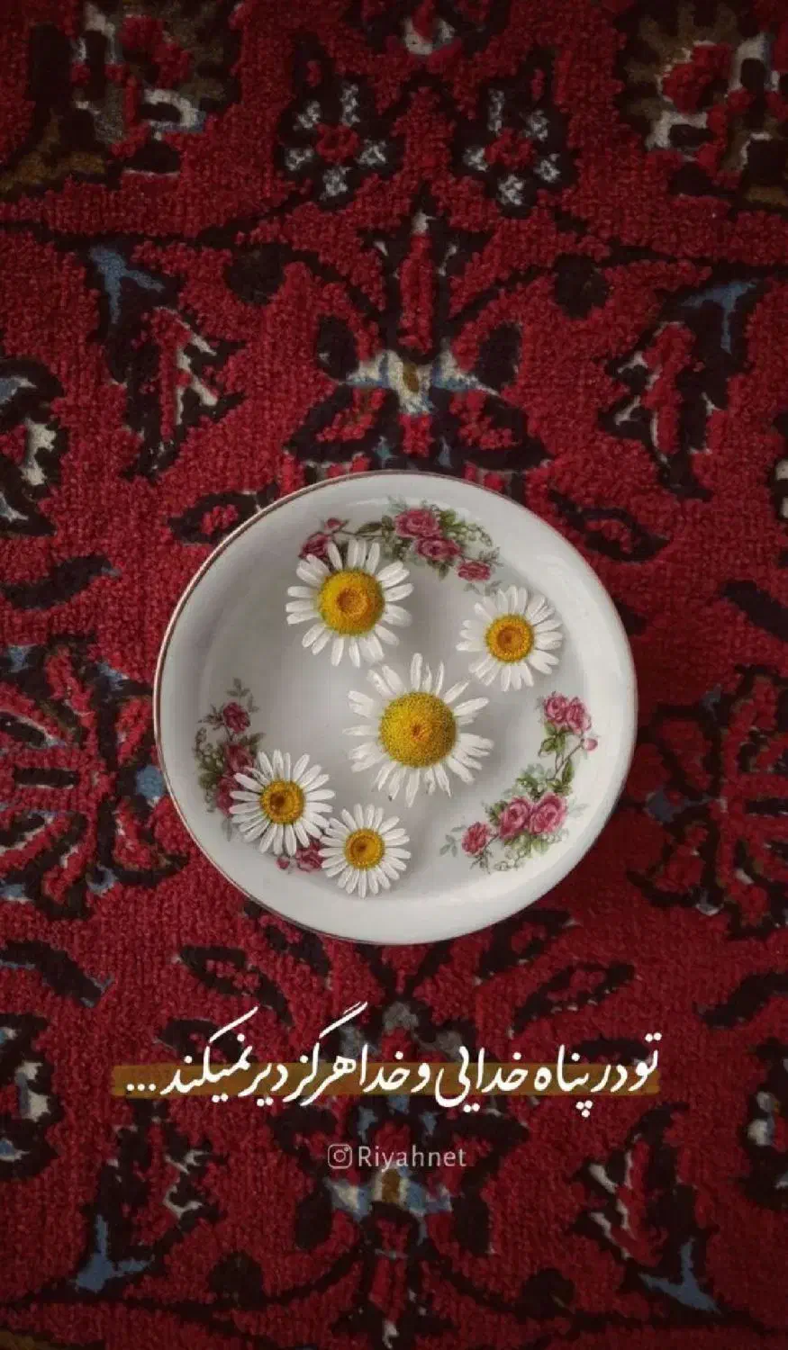 فرش|فرش|اهر, |دیوار