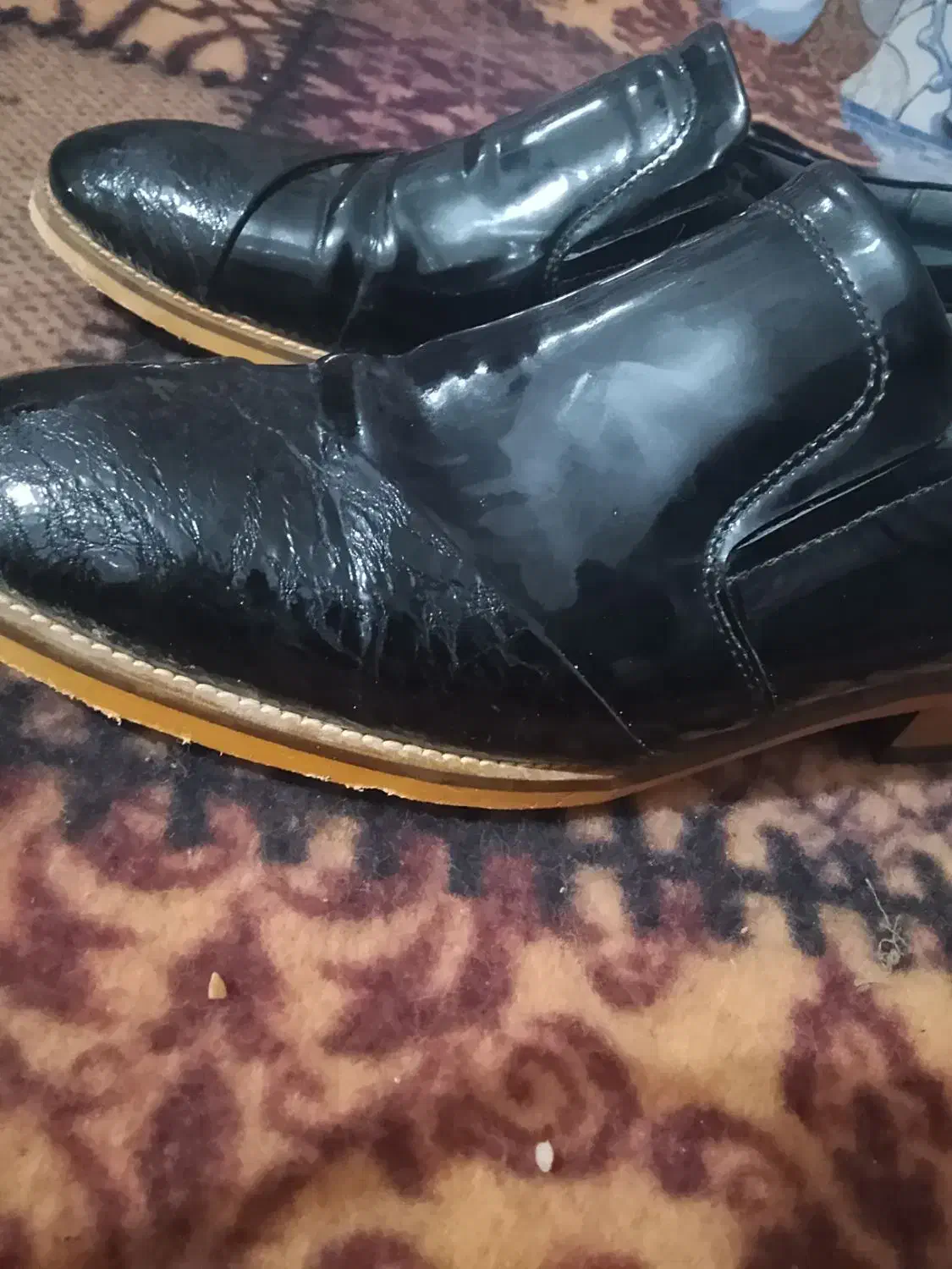 کفش مجلسی|کیف، کفش، کمربند|خاش, |دیوار