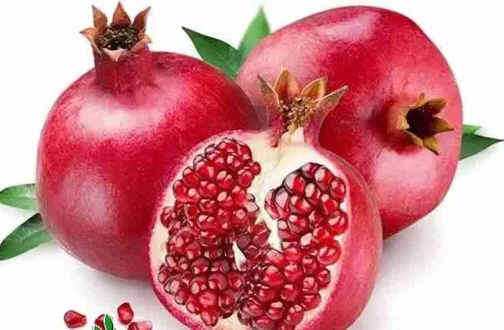 پخش نهال انار قندهار لیبل دار یکساله و دوساله|خدمات باغبانی و درختکاری|سومار, |دیوار