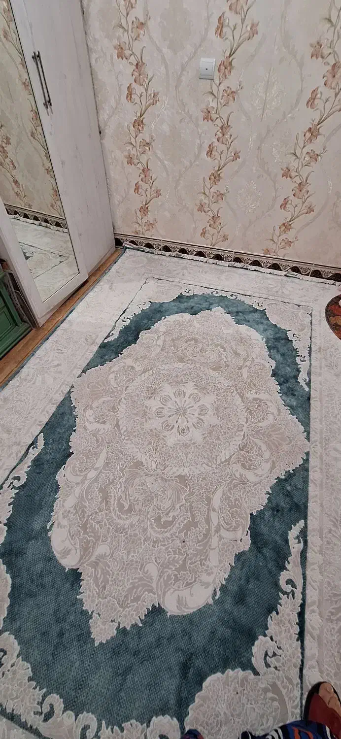 فرش 1000 شانه 6 متری|فرش|اشتهارد, |دیوار