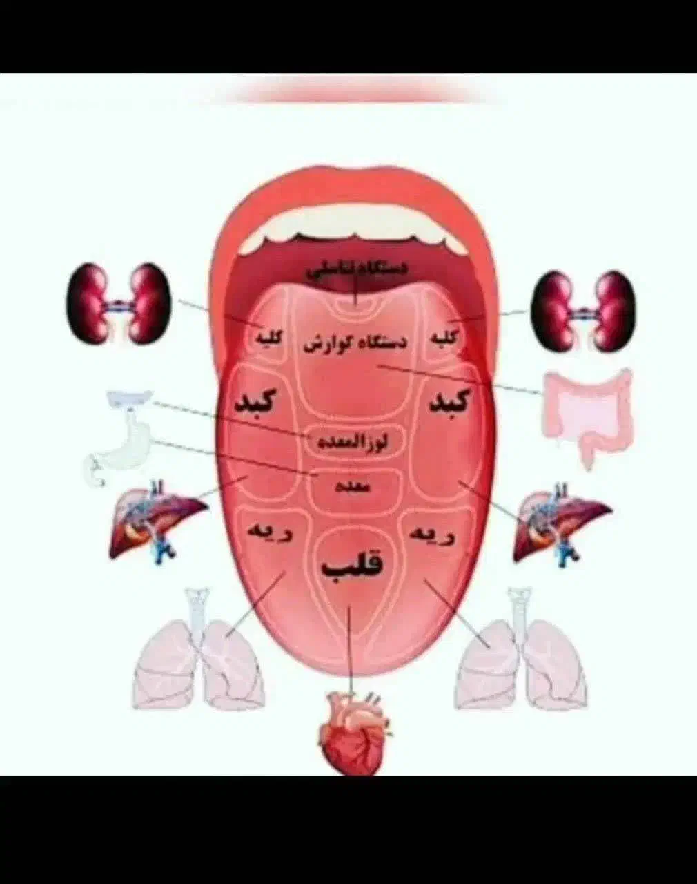 برای ایجاد شغل|استخدام درمانی، زیبایی، بهداشتی|محمدیه-قزوین, |دیوار