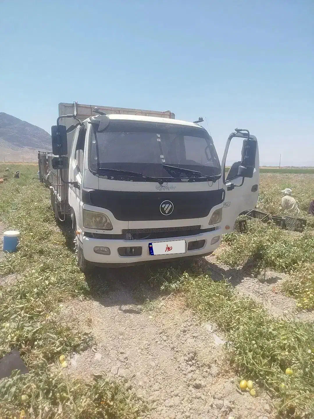 الوندهشت نیم|خودرو سنگین|مرودشت, ده بید|دیوار