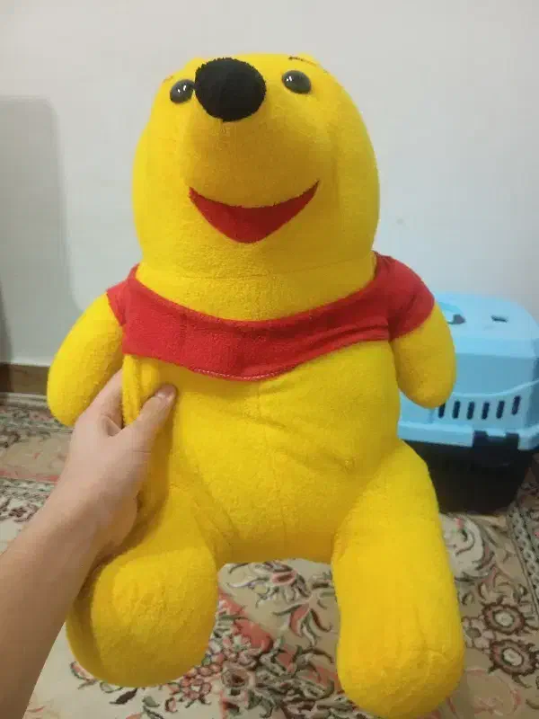 عروسک|اسباب‌‌بازی|بندر انزلی, مسکن مهر|دیوار