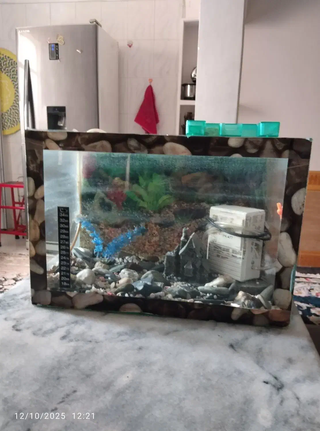 آکواریوم سالم|ماهی|تربت جام, اسماعیل آباد|دیوار