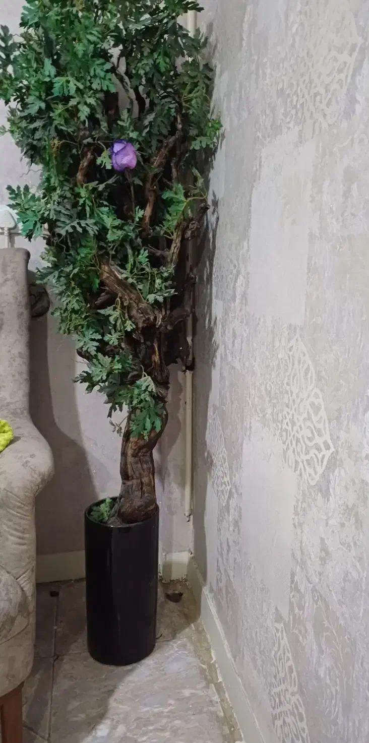 درخچه مصنوعی|گل مصنوعی|اهواز, فاز ۱ پادادشهر|دیوار