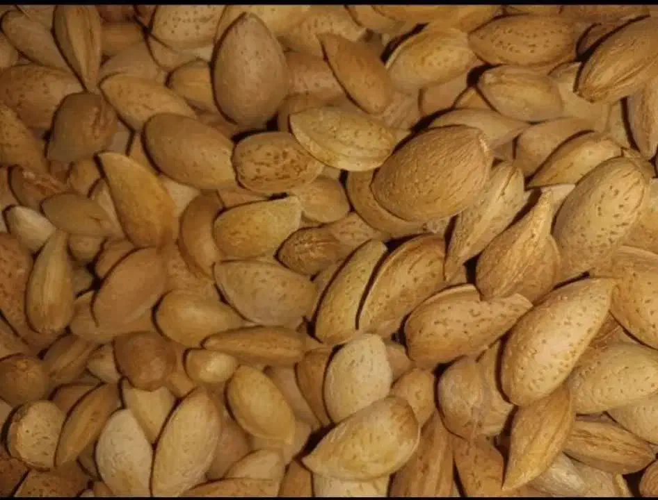 خوراکی سالم و ارگانیک|خوردنی و آشامیدنی|گلبهار, شهر جدید گلبهار|دیوار