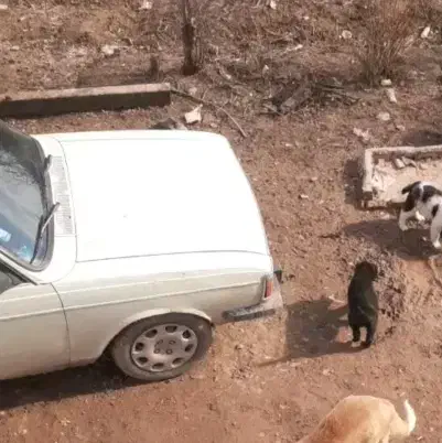 وانت مدل ۹۰ بی رنگ|خودرو سواری و وانت|فیروزه, |دیوار