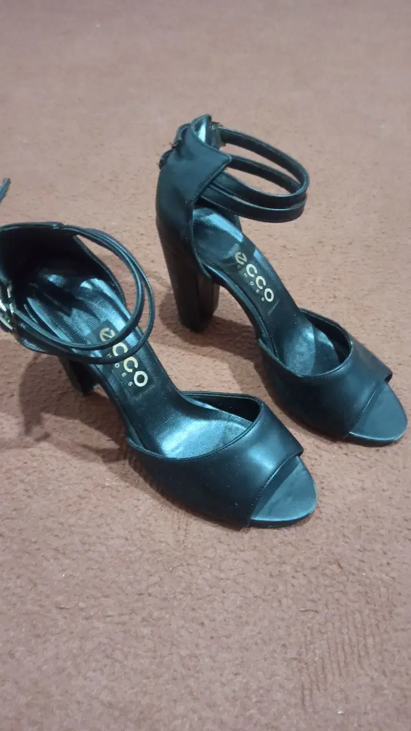 کفش مجلسی|کیف، کفش، کمربند|مشگین شهر, |دیوار