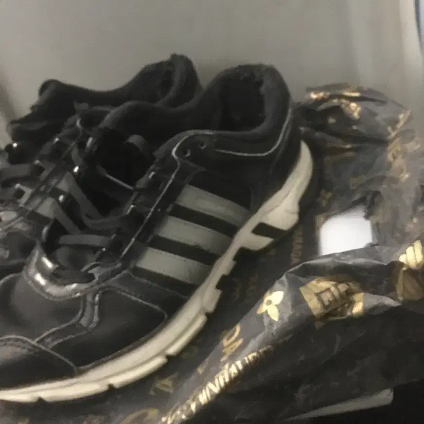 اکومنت zx|کیف، کفش، کمربند|پرند, فاز ۵|دیوار