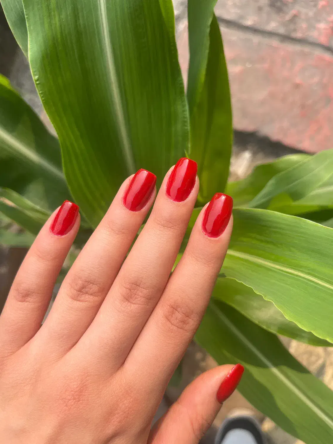 آفر vip خدمات ناخن|خدمات آرایشگری و زیبایی|آمل, |دیوار