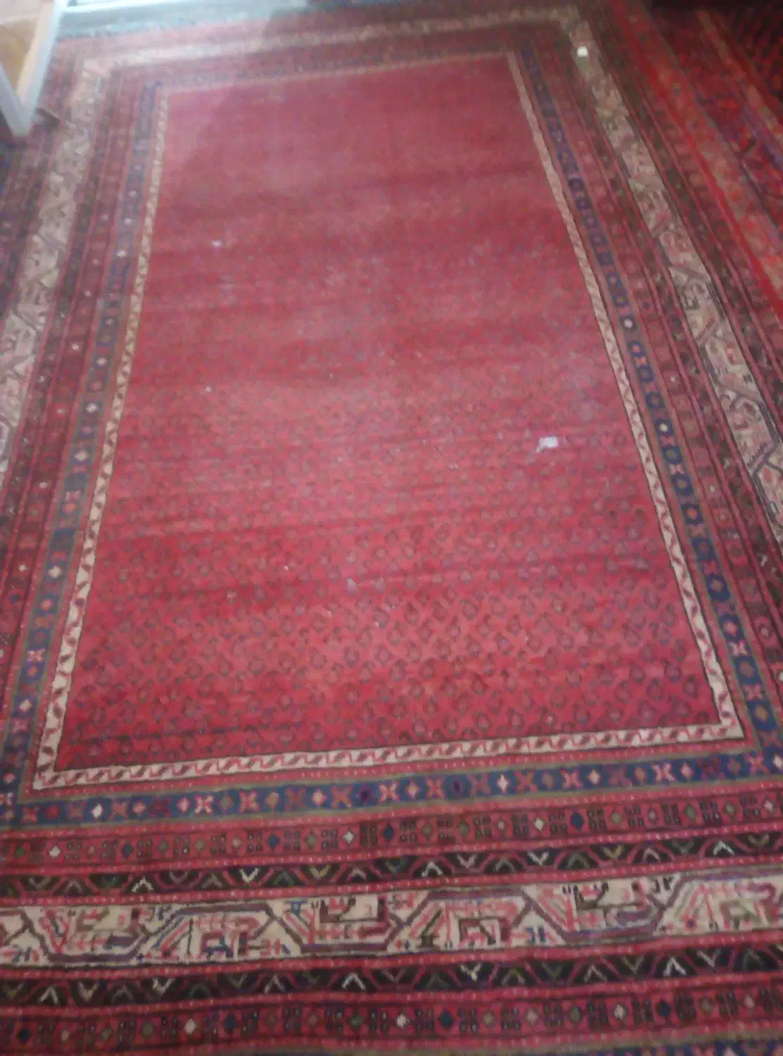 فرش دستباف|فرش|بروجرد, |دیوار