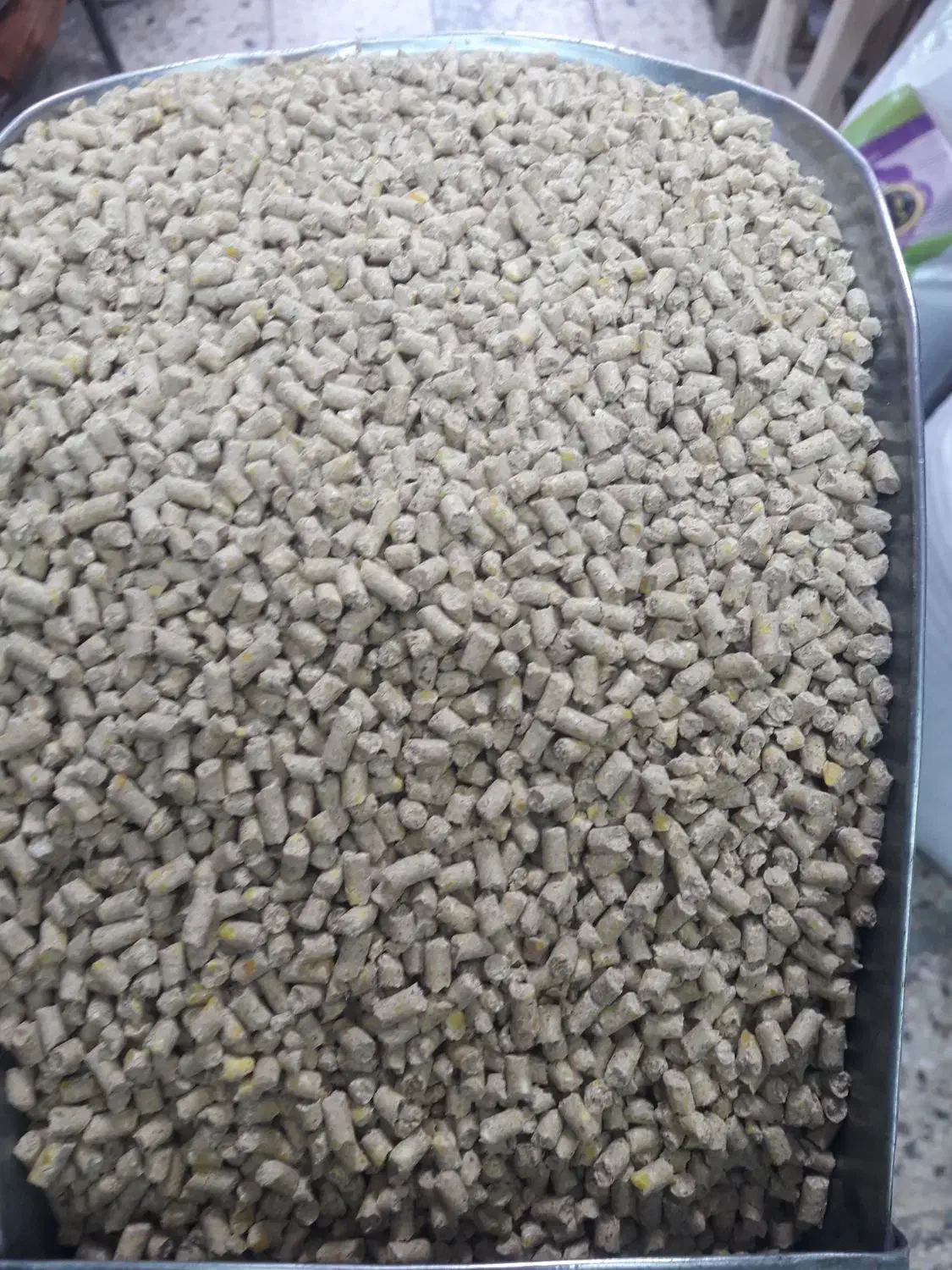 نمایندگی فروش دان پارس مرغ و بوقلمون گوشتی|لوازم جانبی حیوانات|سنندج, |دیوار