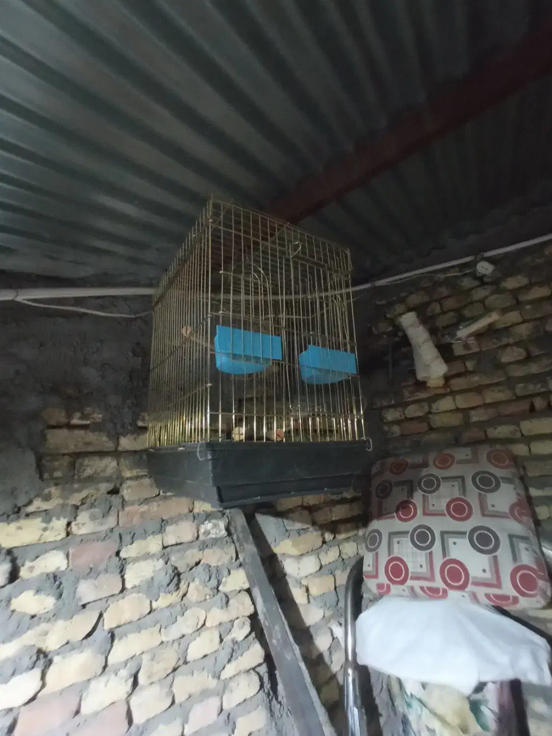 فروش قفسه پرنده|لوازم جانبی حیوانات|لاران, |دیوار
