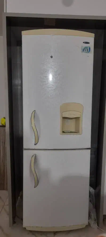 یخچال فریزر|یخچال و فریزر|شیراز, جوادیه|دیوار