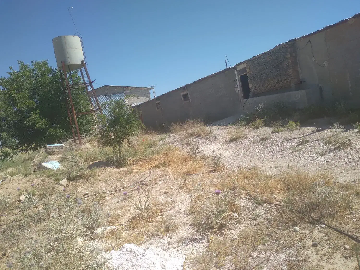 مرغداری ۱۰هزار قطعه ای گوشتی|فروش دفتر صنعتی، کشاورزی، تجاری|فسا, |دیوار