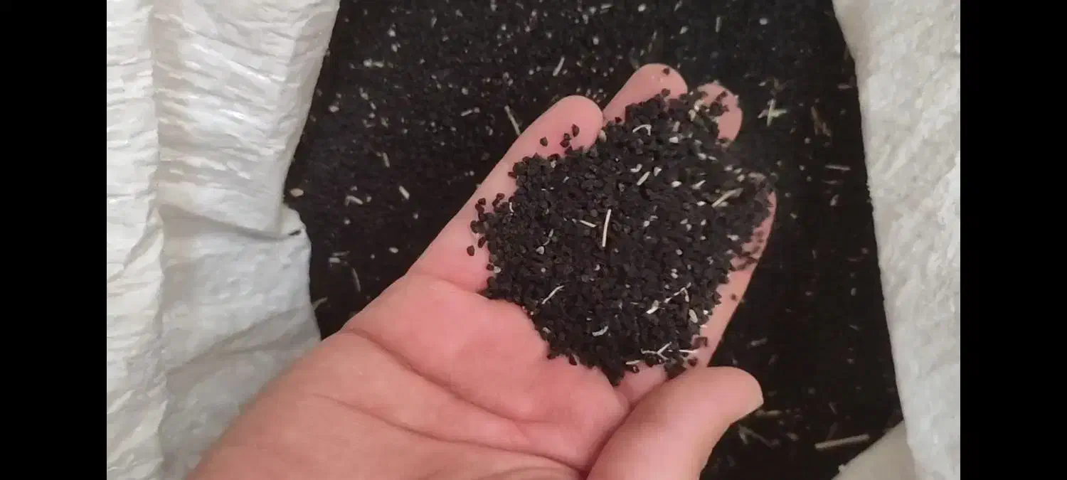 تره (بذر) طبس|گل و گیاه طبیعی|مشهد, ابرغن|دیوار