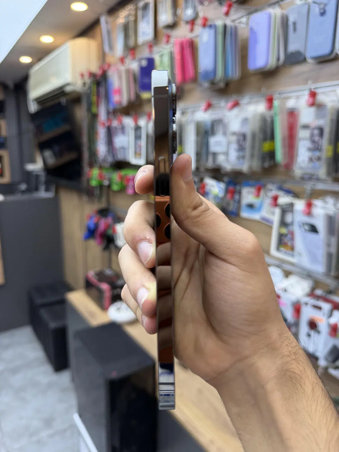 IPhone 13 ProMax 256G|موبایل|فردیس, فردیس|دیوار