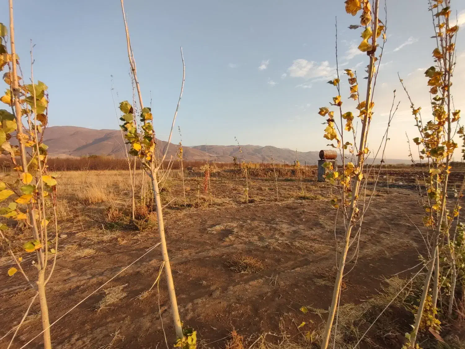 فروش باغ|فروش زمین و ملک کلنگی|هیر, |دیوار