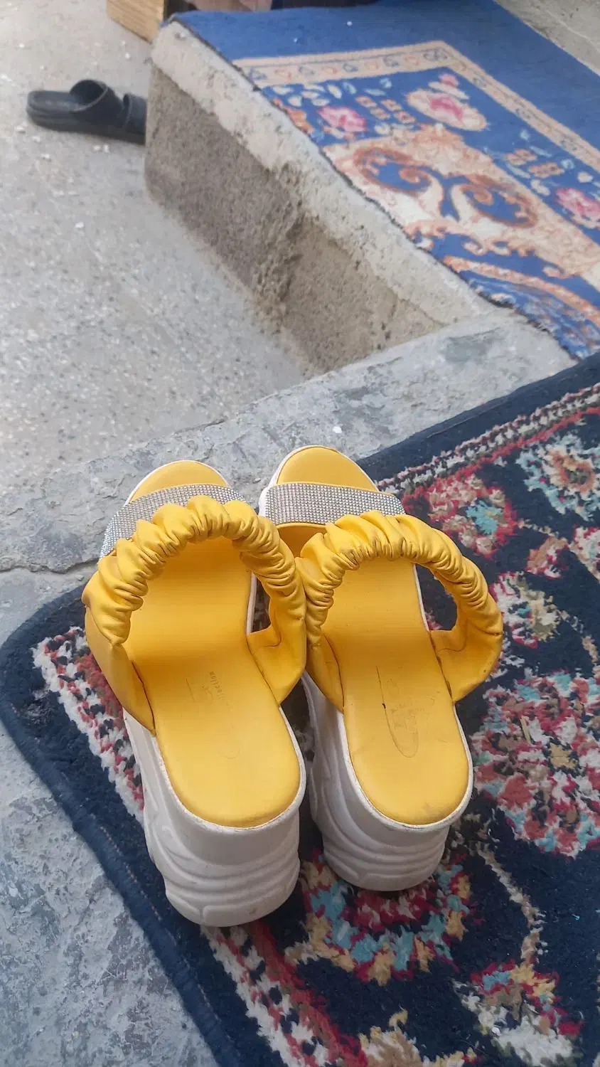 ۳۰۰ تومن در حد نو|کیف، کفش، کمربند|بندرعباس, |دیوار