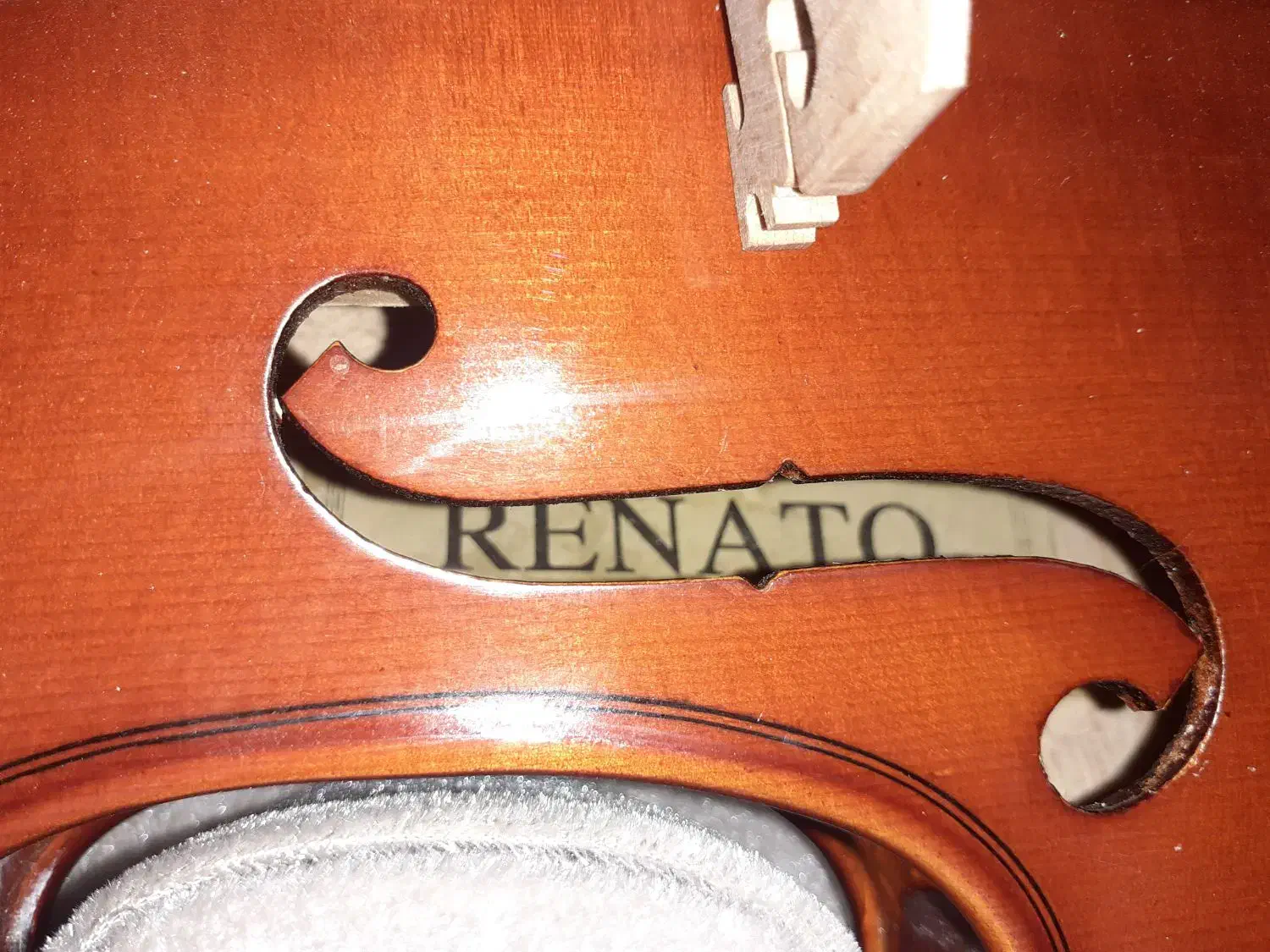 ویولون ( برند RENATO )|ویولن|رشت, پل تالشان|دیوار