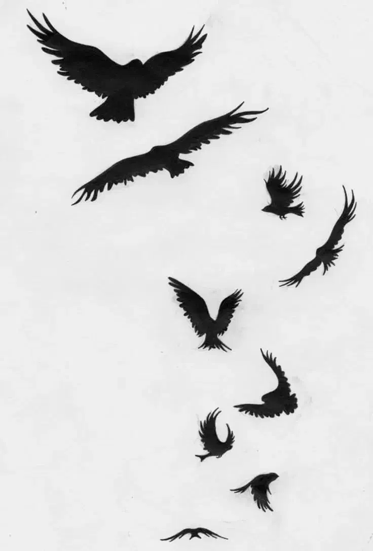 تتو با تخفیف ویژه|خدمات آرایشگری و زیبایی|صائین قلعه, |دیوار