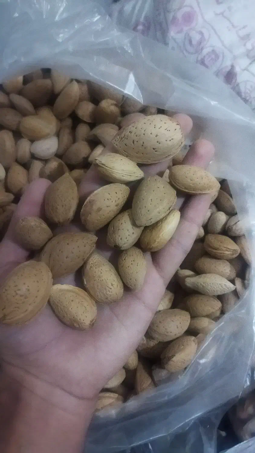 بادام شیرین|خوردنی و آشامیدنی|قم, انسجام|دیوار
