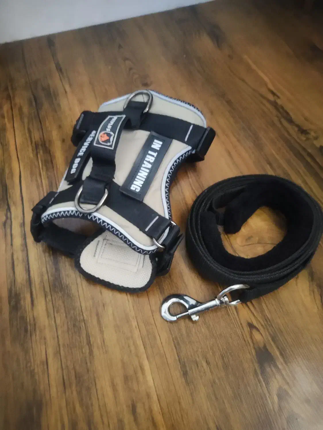 قلاده برس سگ|لوازم جانبی حیوانات|شیراز, وحدت|دیوار