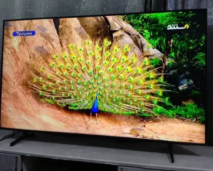 تلویزیون ۵۰اینچ هوشمند و اسمارت|تلویزیون و پروژکتور|قرچک, میرزائی جنوبی|دیوار