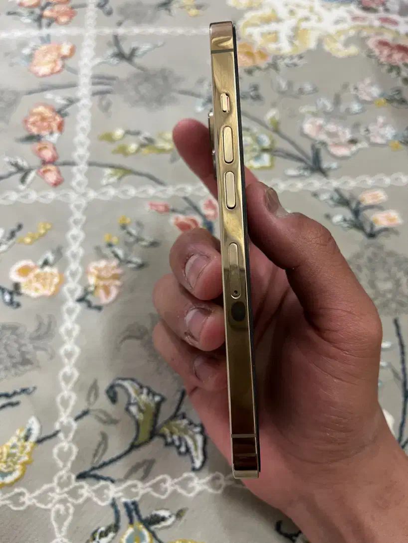 13 Pro|موبایل|زاهدان, |دیوار