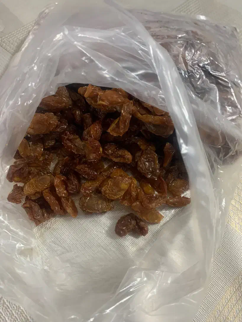 قیسی زردآلو و آلوچه|خوردنی و آشامیدنی|ماکو, |دیوار