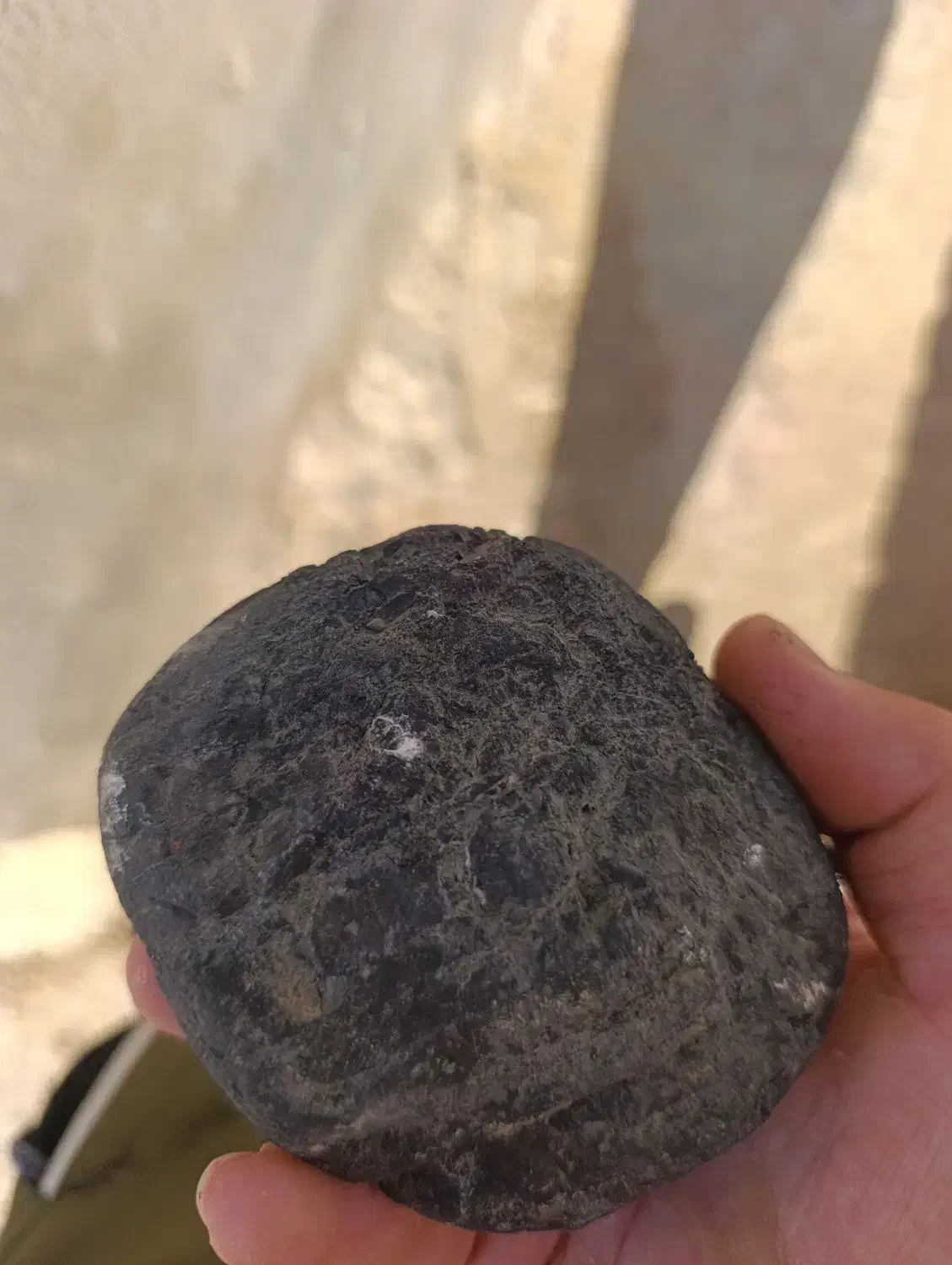 اگر سردرمیارین میشه بگین چه سنگیه|کلکسیون اشیاء عتیقه|گنبد کاووس, |دیوار