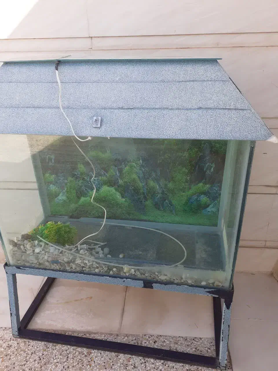 آکواریوم بزرگ به همراه چارپایه آهنی|ماهی|خرمآباد, |دیوار