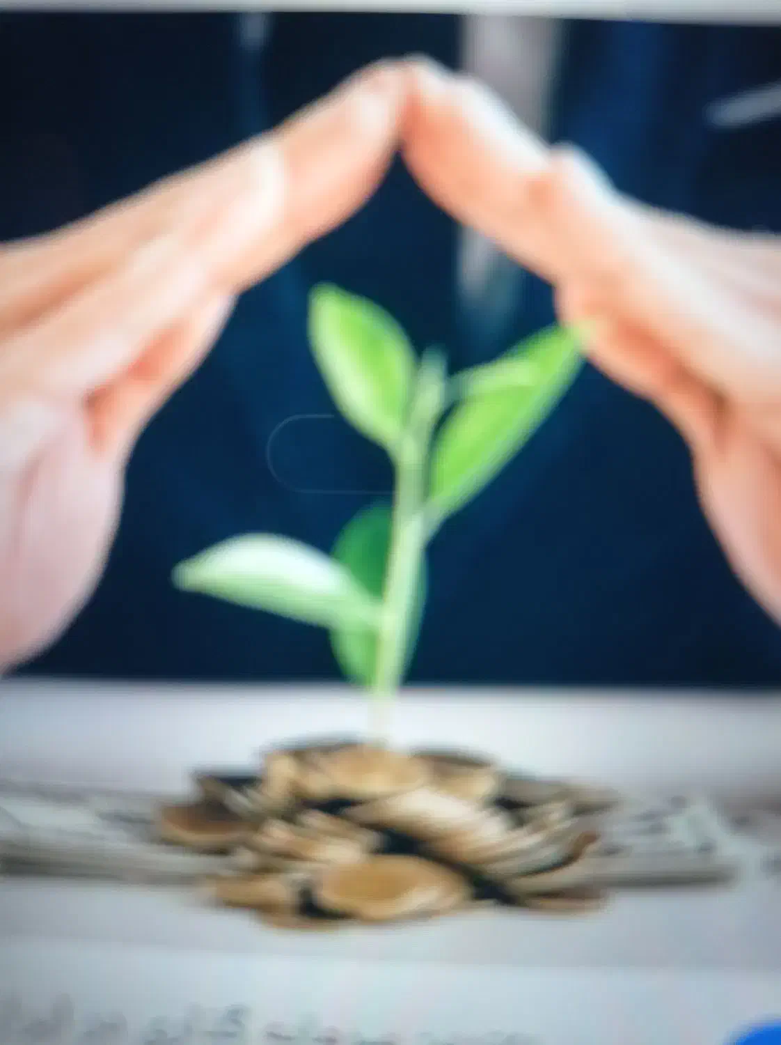 نیاز به سرمایه گذار|استخدام مالی، حسابداری، حقوقی|تهران, دریا|دیوار