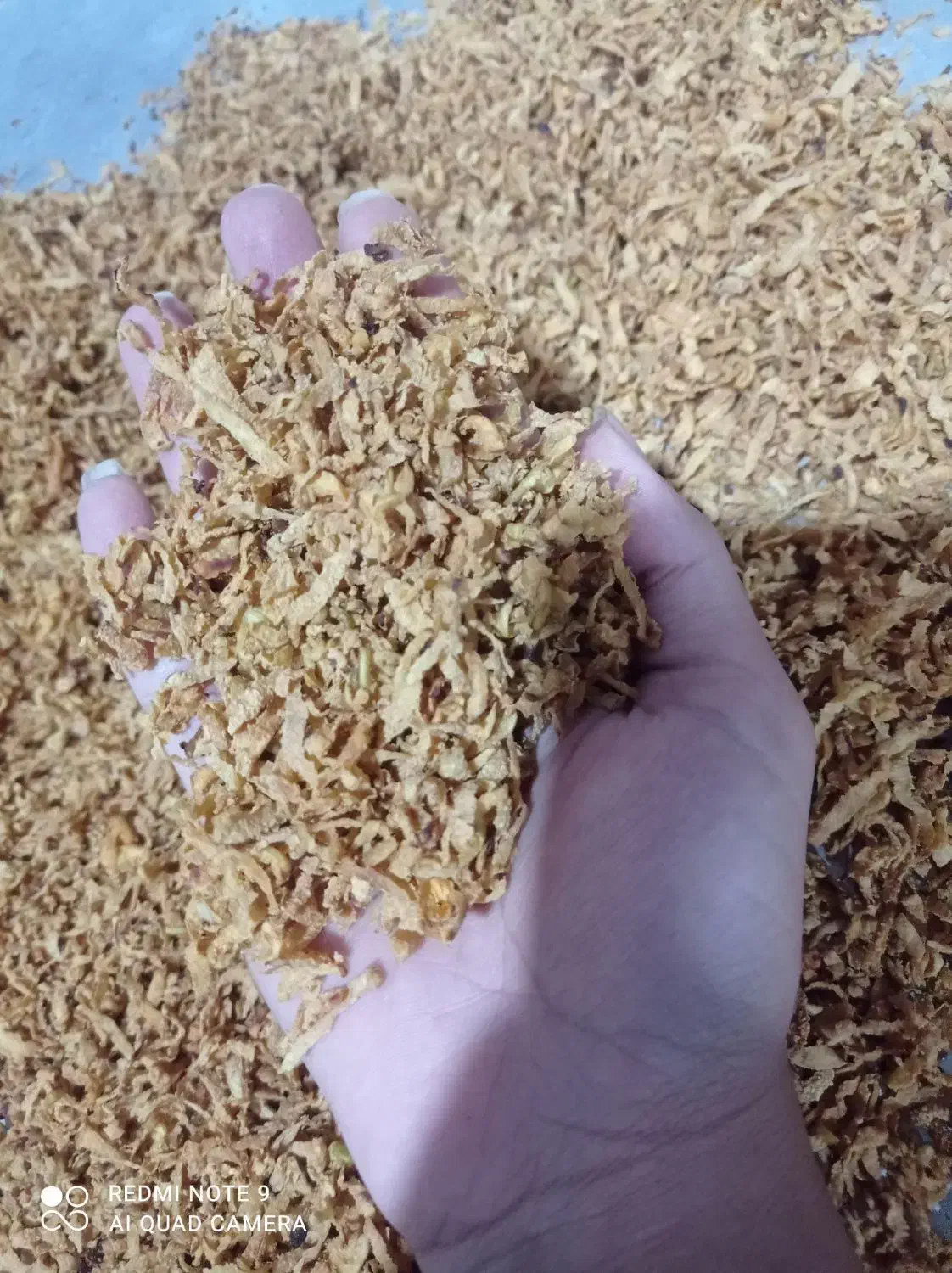 دمنوش به|خوردنی و آشامیدنی|داراب, |دیوار