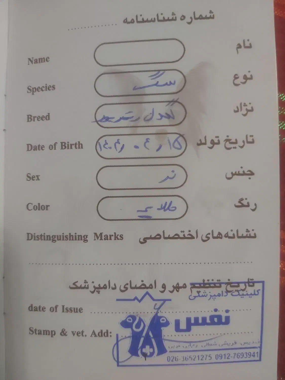 سگ گلدن|سگ|کرج, فاز ۳ گوهردشت|دیوار