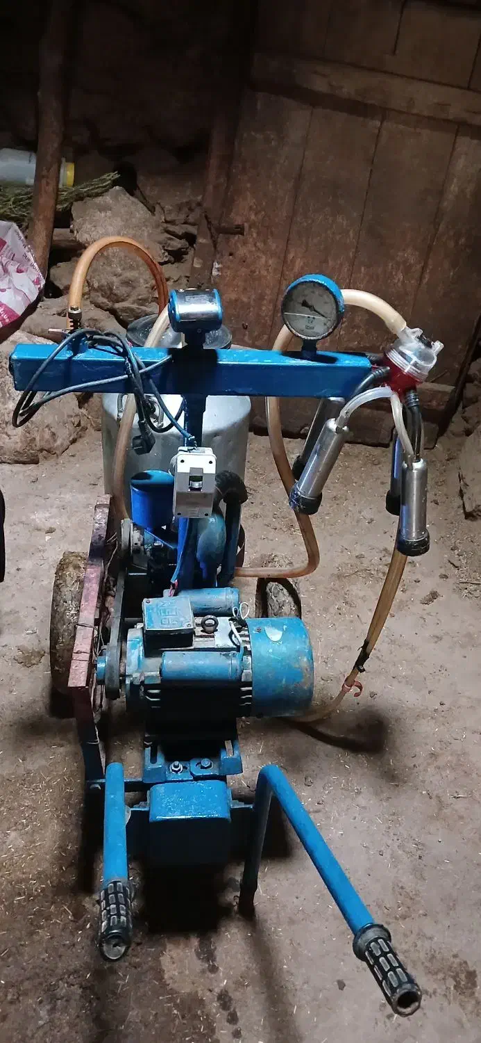 شیر دوش|لوازم جانبی حیوانات|دیواندره, |دیوار