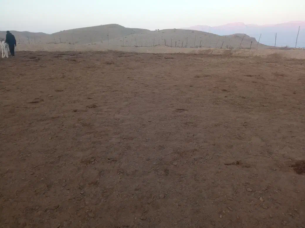 کود شتر|خدمات باغبانی و درختکاری|حاجی آباد, |دیوار