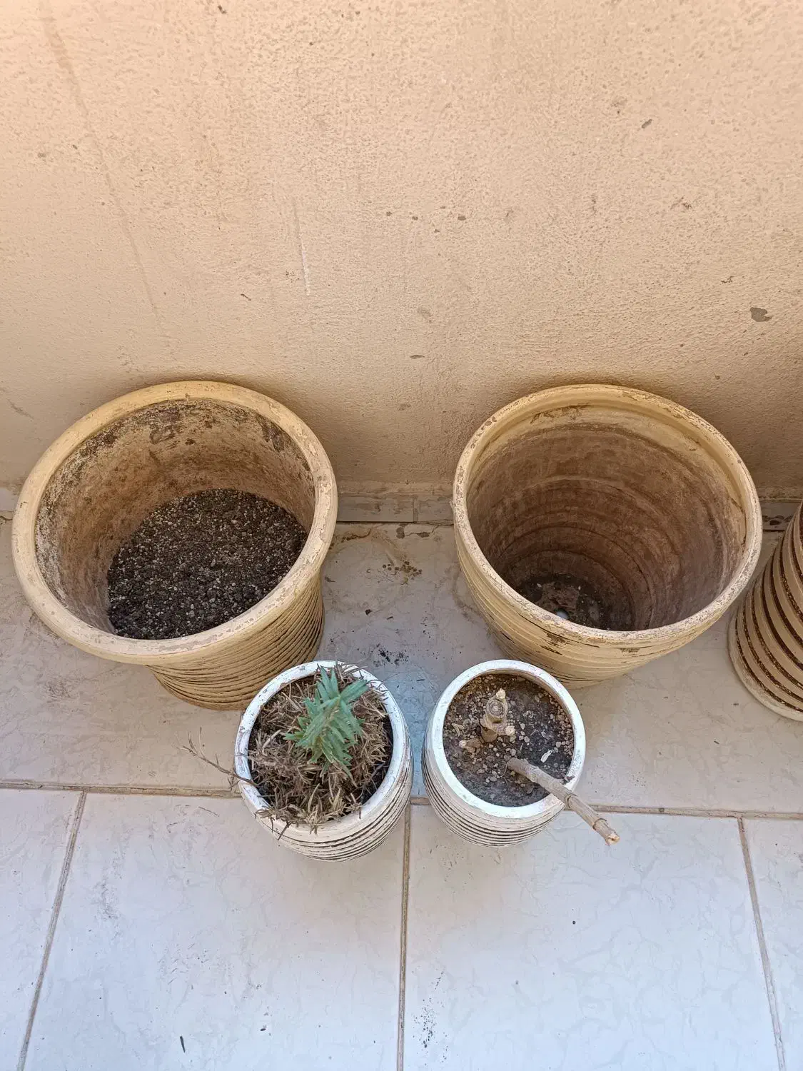 گلدان سفالی|صنایع دستی و سایر لوازم تزئینی|پرند, فاز ۵|دیوار