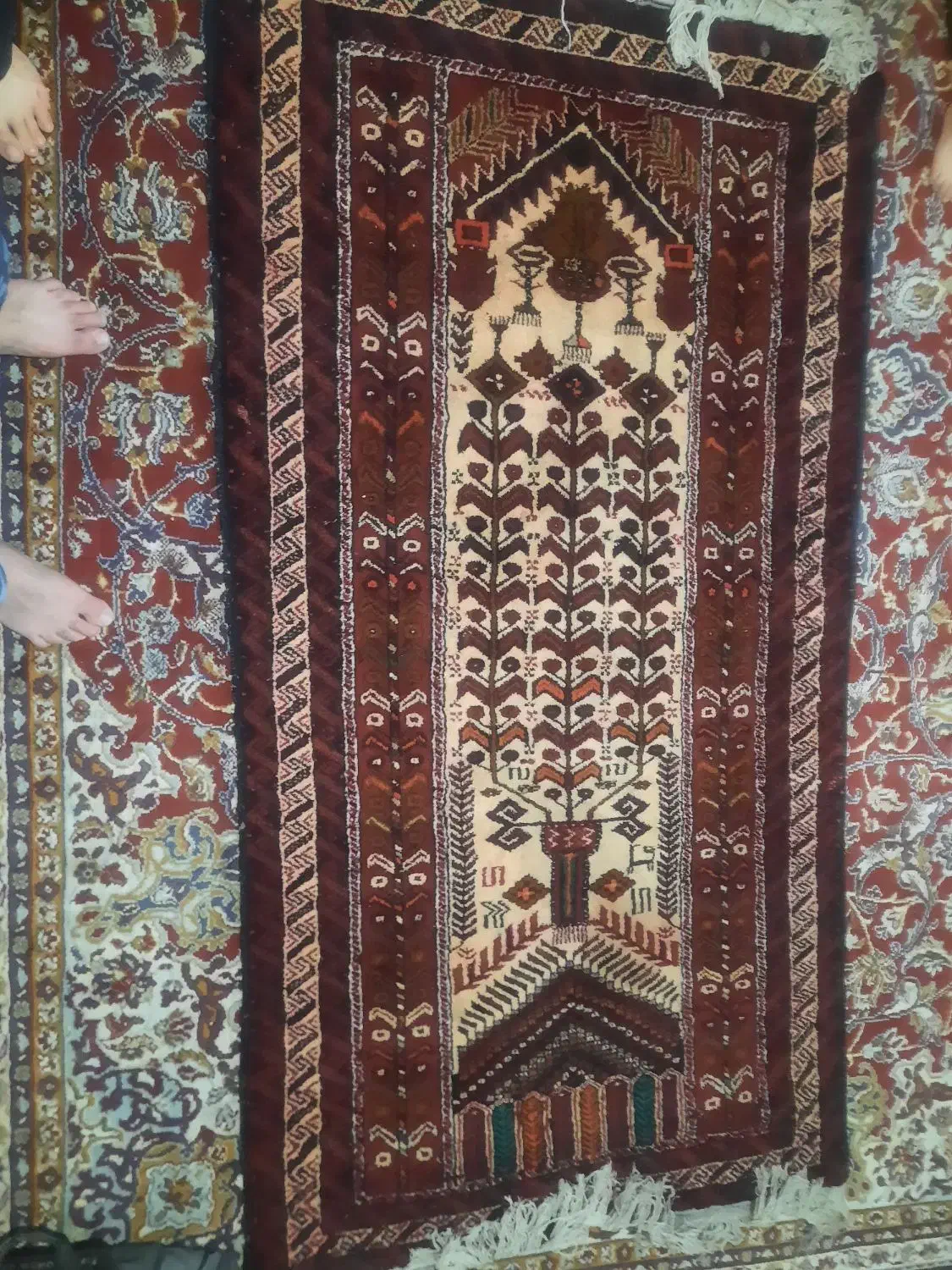 قالیچه دست باف|فرش|تایباد, |دیوار