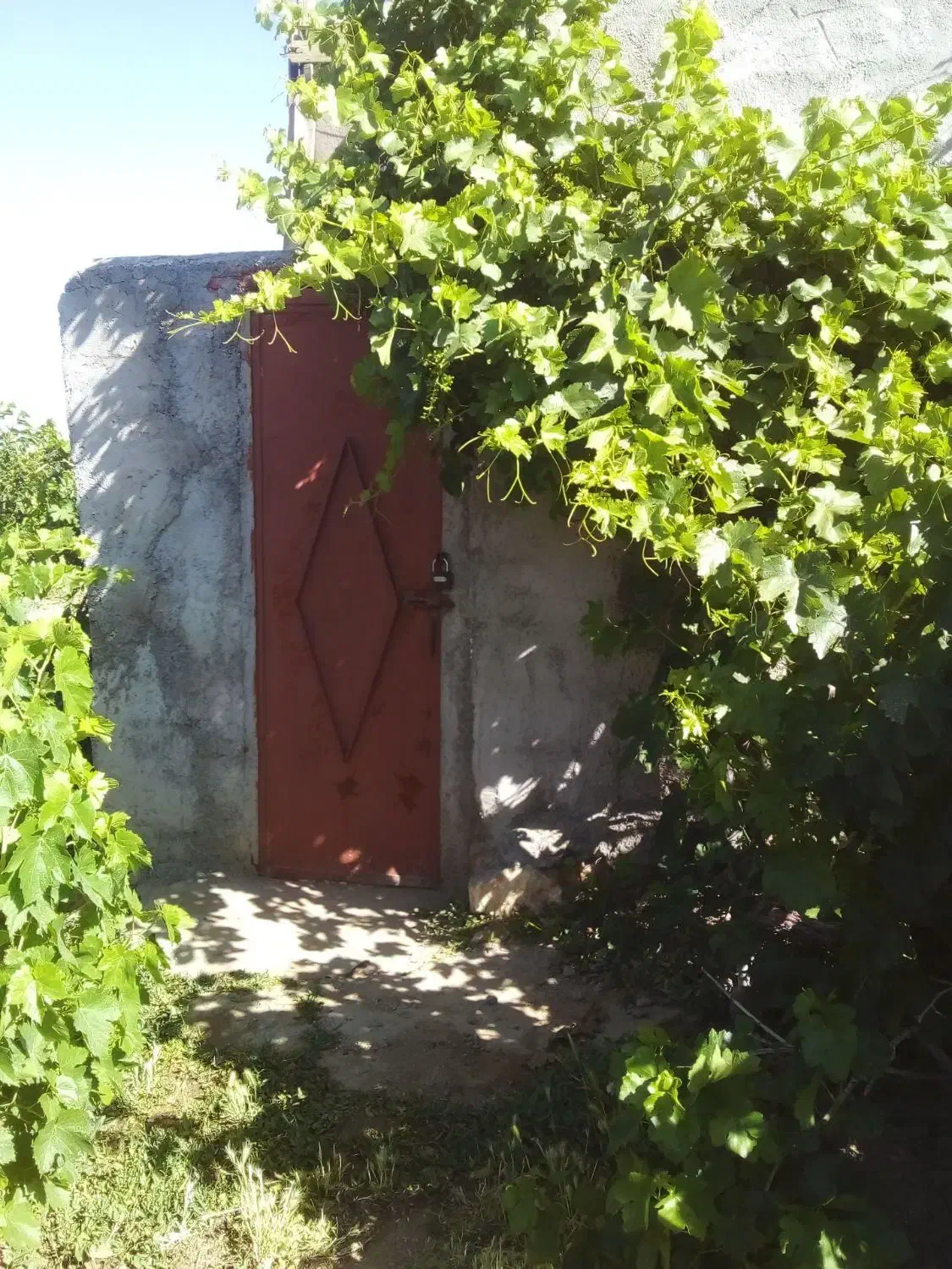 باغ و برج درجهان اباد|فروش زمین و ملک کلنگی|نهاوند, |دیوار