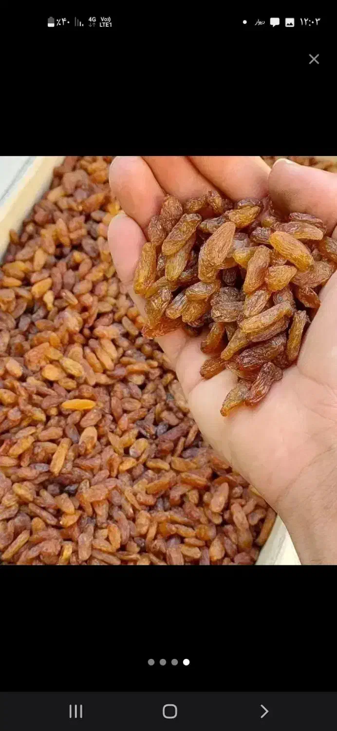 کشمش اعلا بایهترین کیفیت|عمدهفروشی|کاشمر, |دیوار